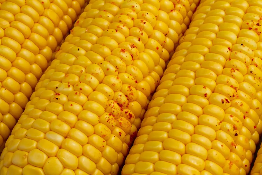 How do the complex carbohydrates in corn prov..
