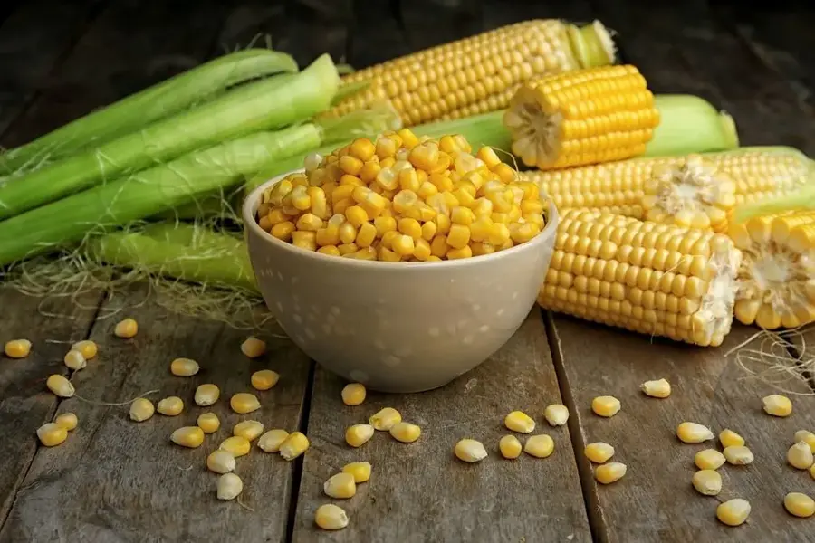 How Can I Balance Macronutrients (Proteins, F..